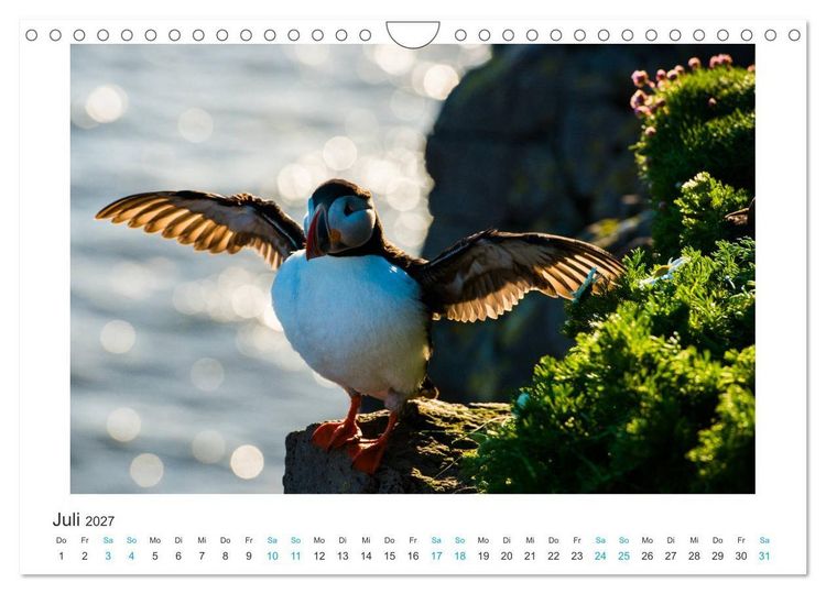 Produktbild: PAPAGEIENTAUCHER - Clowns der Nordmeere (Wandkalender 2027 DIN A4 quer), CALVENDO Monatskalender