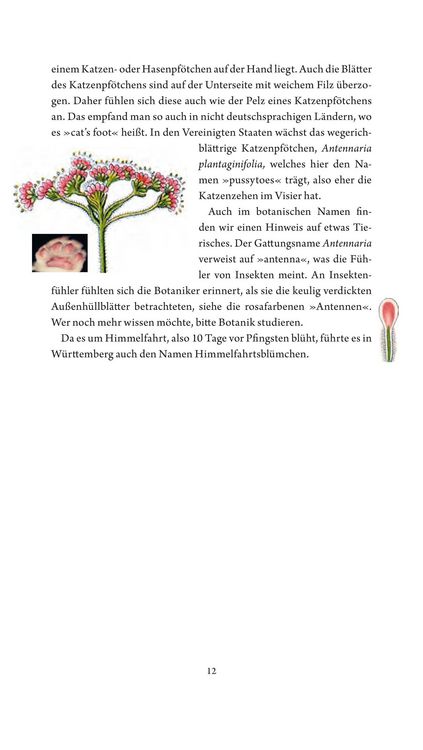 Produktbild: Jungfer im Gr&uuml;nen und Tausendg&uuml;ldenkraut