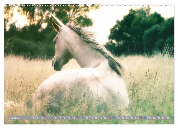 Produktbild: Fabeltier Einhorn (hochwertiger Premium Wandkalender 2026 DIN A2 quer), Kunstdruck in Hochglanz