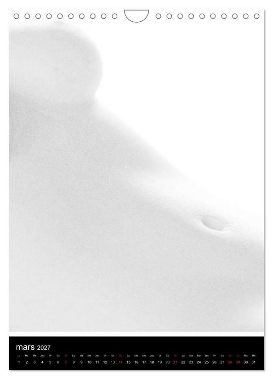 Produktbild: F&eacute;minit&eacute; (Calendrier mural 2027 DIN A4 horizontal), CALVENDO calendrier mensuel