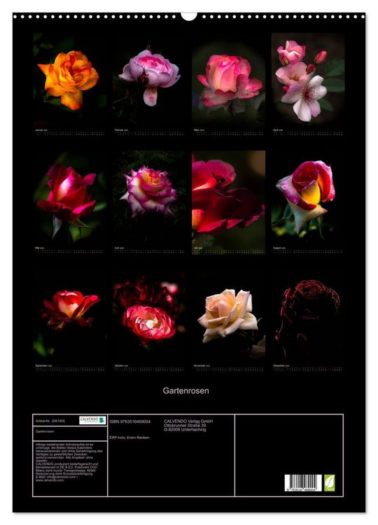 Produktbild: Gartenrosen (Wandkalender 2026 DIN A2 hoch), CALVENDO Monatskalender