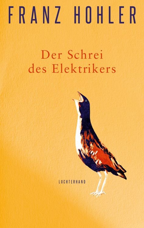 Produktbild: Der Schrei des Elektrikers