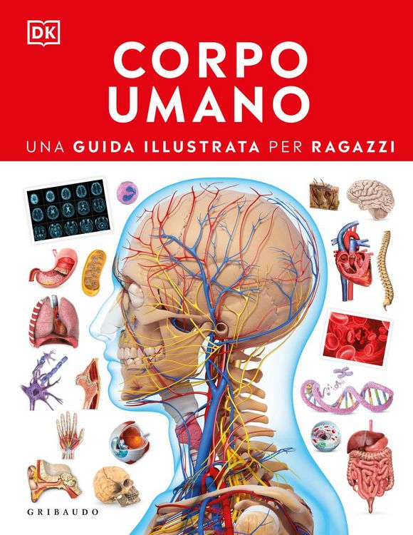 Produktbild: Corpo umano. Una guida illustrata per ragazzi