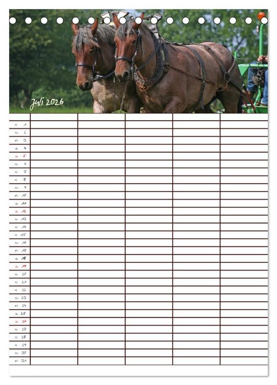 Produktbild: Der Kaltblut-Familienplaner (Tischkalender 2026 DIN A5 hoch), CALVENDO Monatskalender