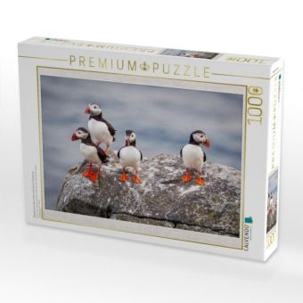 Produktbild: CALVENDO Puzzle Papageientaucher in ihrer nat&uuml;rlichen Umgebung | 1000 Teile Lege-Gr&ouml;&szlig;e 64x48cm Foto-Puzzle f&uuml;r gl&uuml;ckliche Stunden