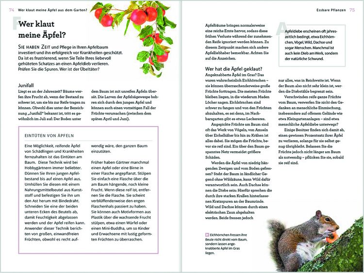 Produktbild: Wer klaut meine &Auml;pfel aus dem Garten