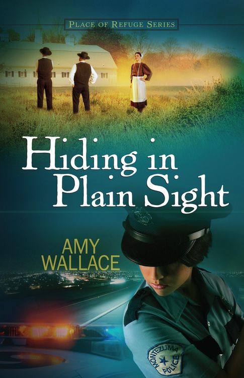 Produktbild: Hiding in Plain Sight