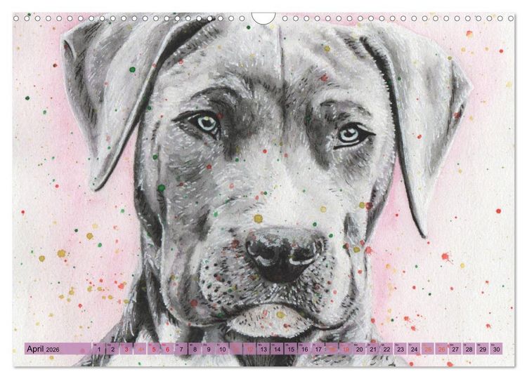 Produktbild: Hundeportr&auml;ts in Aquarell (Wandkalender 2026 DIN A3 quer), CALVENDO Monatskalender