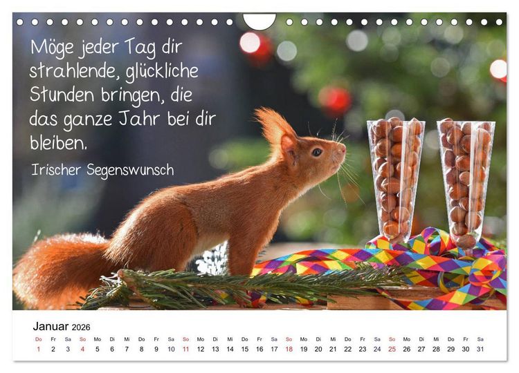 Produktbild: Der literarische Eichh&ouml;rnchen-Kalender (Wandkalender 2026 DIN A4 quer), CALVENDO Monatskalender