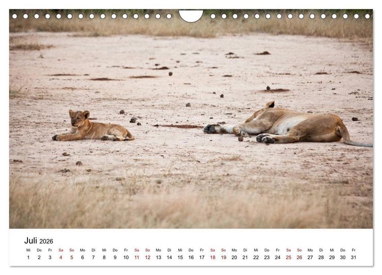 Produktbild: Sambia und der Sambesi (Wandkalender 2026 DIN A4 quer), CALVENDO Monatskalender