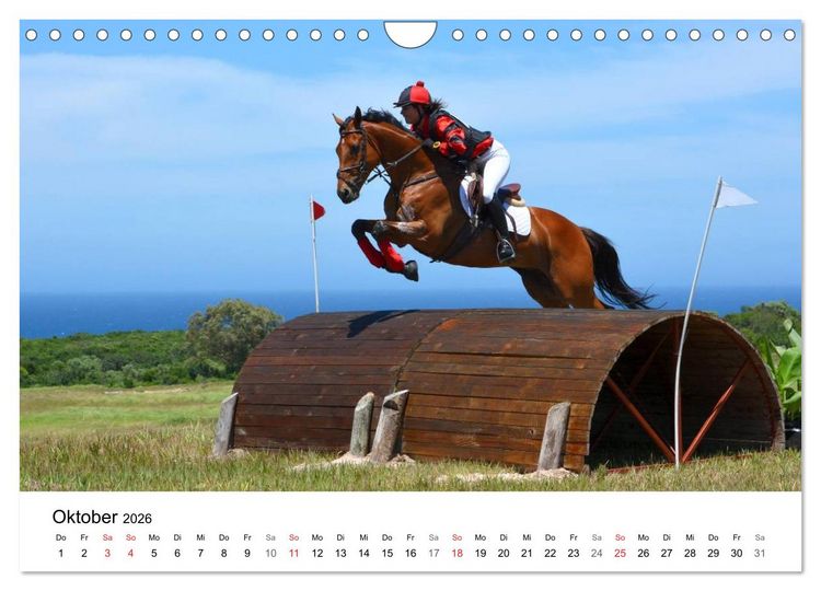 Produktbild: Vielseitigkeitsreiten (Wandkalender 2026 DIN A4 quer), CALVENDO Monatskalender