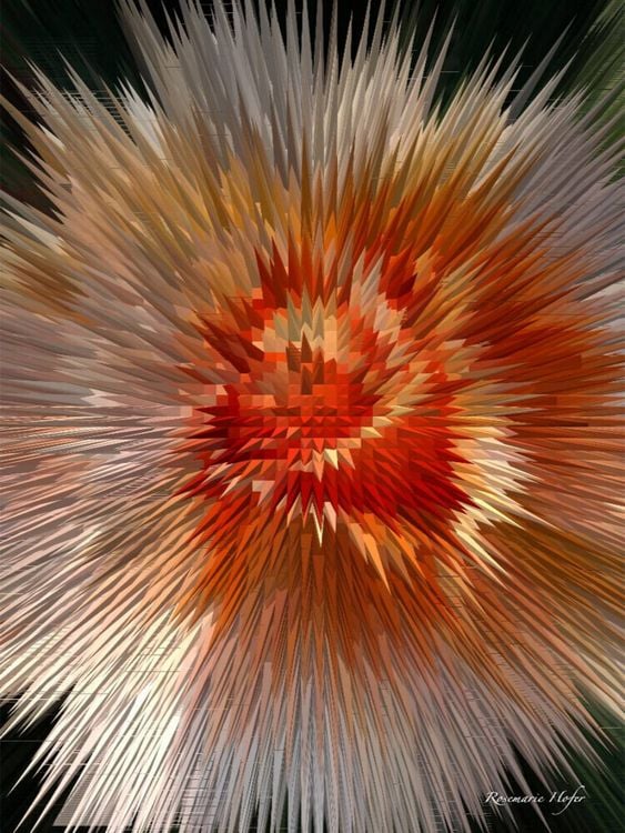 Produktbild: CALVENDO Puzzle Flower Explosion III PHOTO ART&deg; by Rosemarie Hofer | 1000 Teile Lege-Gr&ouml;&szlig;e 64x48cm Foto-Puzzle f&uuml;r gl&uuml;ckliche Stunden