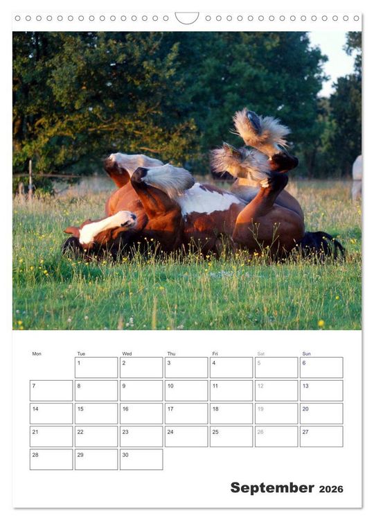 Produktbild: Shire Horses The Gentle Giants (Wall Calendar 2026 DIN A3 portrait), CALVENDO 12 Month Wall Calendar