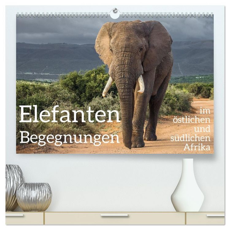 Produktbild: Elefanten Begegnungen im &ouml;stlichen und s&uuml;dlichen Afrika (hochwertiger Premium Wandkalender 2026 DIN A2 quer), Kunstdruck in Hochglanz