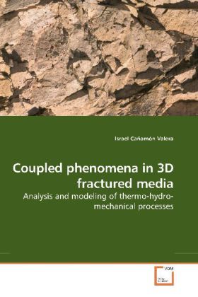 Produktbild: Ca&ntilde;am&oacute;n Valera, I: Coupled phenomena in 3D fractured media