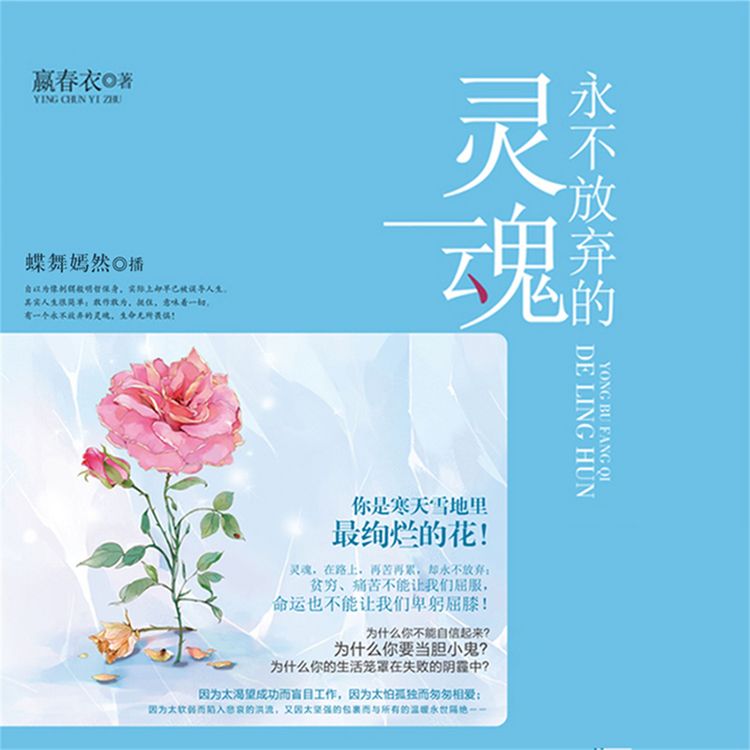 Produktbild: 永不放弃的灵魂