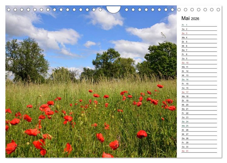 Produktbild: Landschaften des Kraichgaus (Wandkalender 2026 DIN A4 quer), CALVENDO Monatskalender
