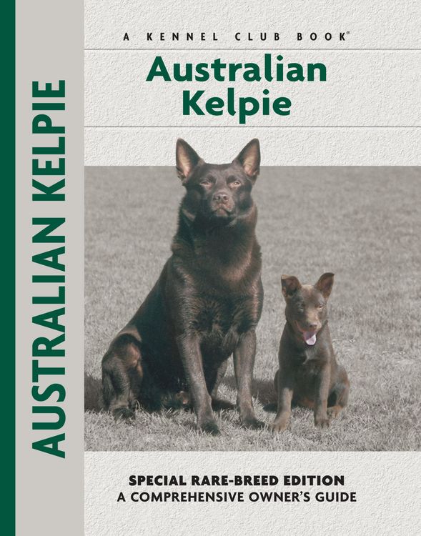 Produktbild: Australian Kelpie
