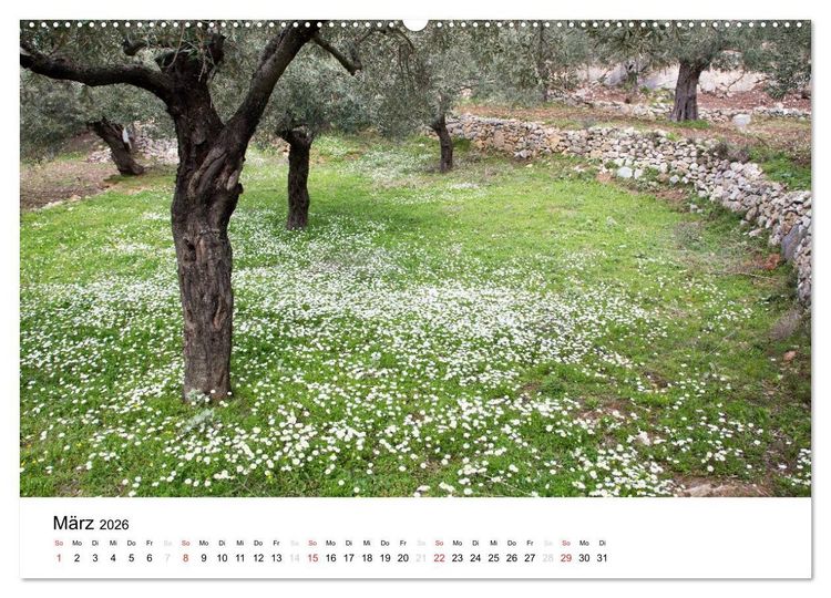 Produktbild: Al&oacute;nnisos, Ski&aacute;thos, Sk&oacute;pelos (Wandkalender 2026 DIN A2 quer), CALVENDO Monatskalender