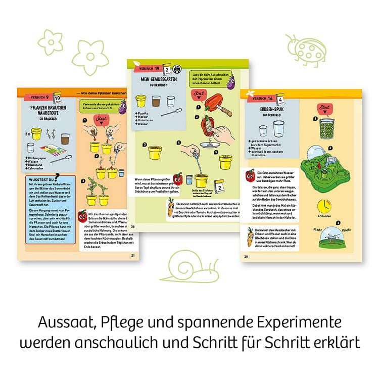 Produktbild: Mein erstes Gew&auml;chshaus