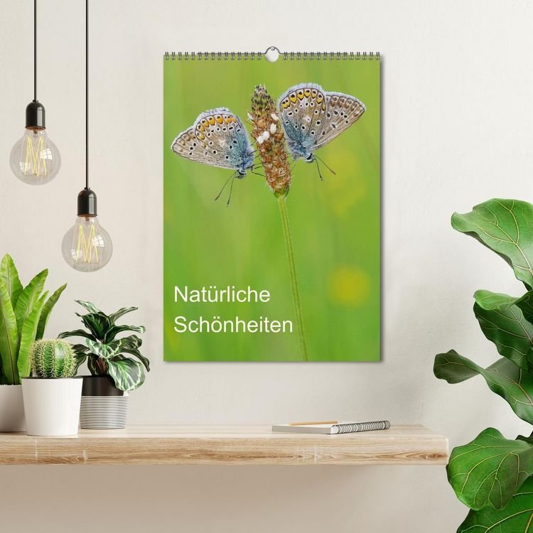Produktbild: Insekten,Sch&ouml;nheiten der Natur (Wandkalender 2026 DIN A3 hoch), CALVENDO Monatskalender