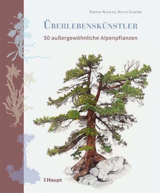 Produktbild: &Uuml;berlebensk&uuml;nstler