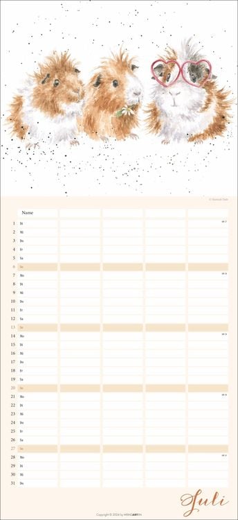 Happy Family Familienplaner 2025 - Kalender Mit 5 Spalten | Thalia