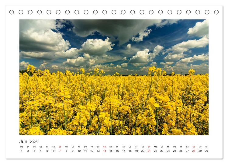 Produktbild: Eindr&uuml;cke aus der Natur (Tischkalender 2026 DIN A5 quer), CALVENDO Monatskalender