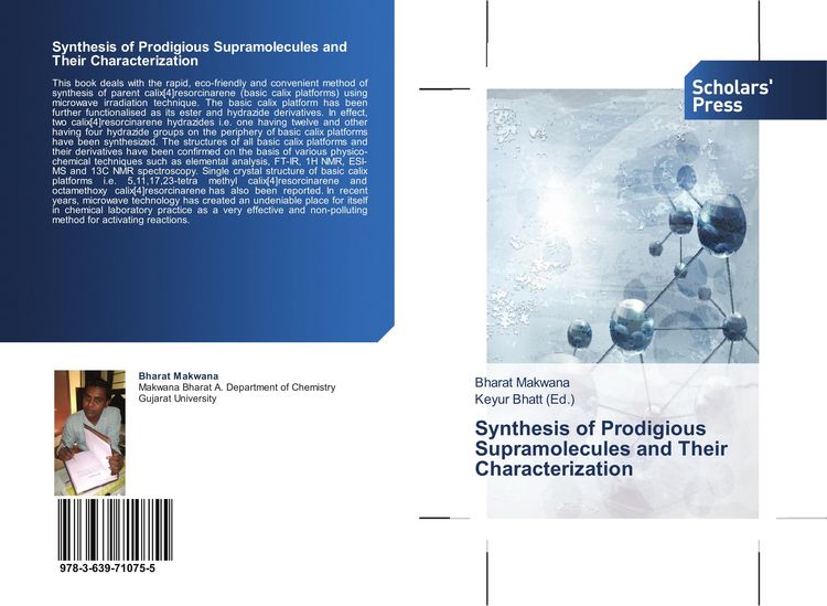 Produktbild: Synthesis of Prodigious Supramolecules and Their Characterization