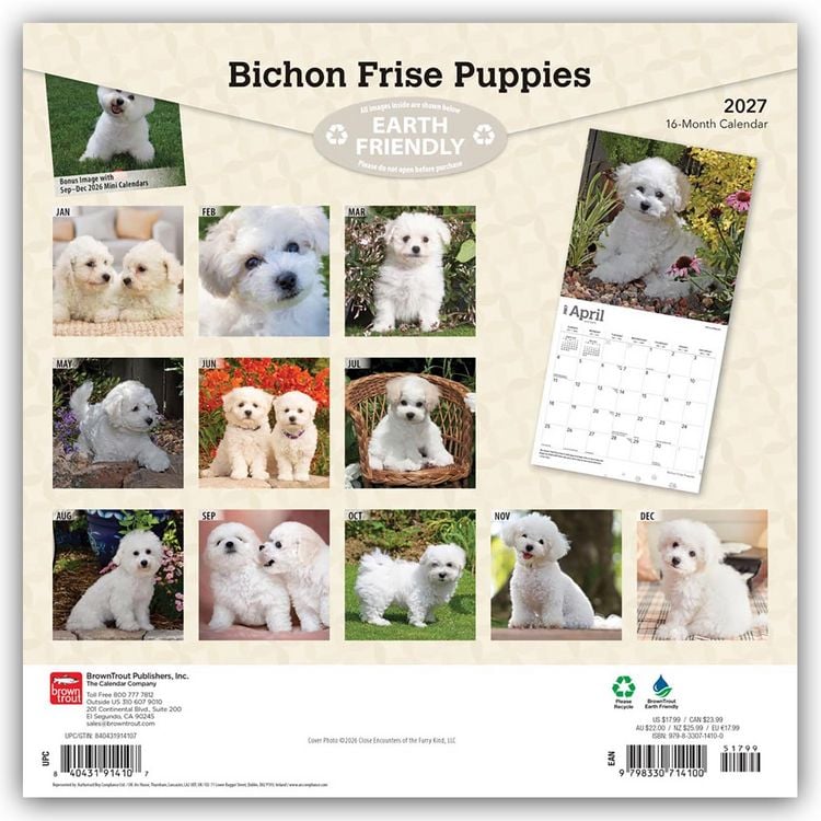 Produktbild: Bichon Fris&eacute; Puppies &ndash; Bichon Fris&eacute; Welpen 2027 &ndash; 16-Monatskalender