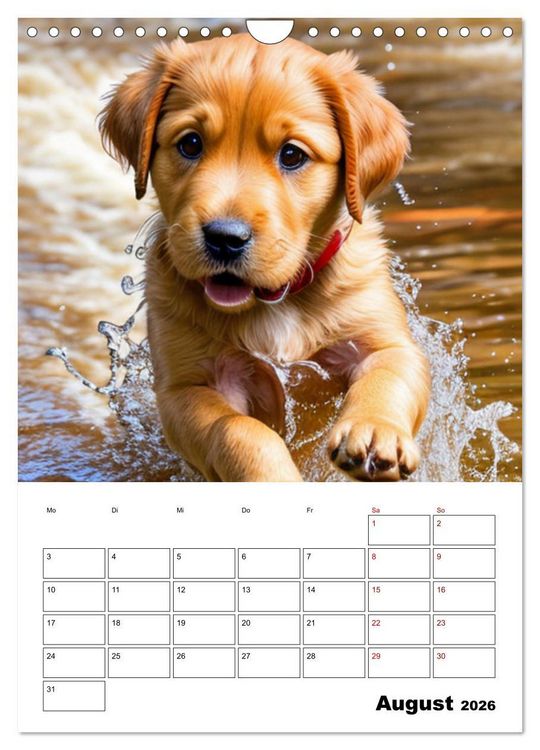 Produktbild: Mit Tieren hinein in das neue Jahr (Wandkalender 2026 DIN A4 hoch), CALVENDO Monatskalender