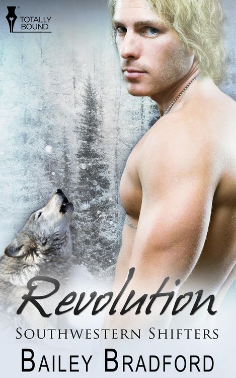 Produktbild: Revolution