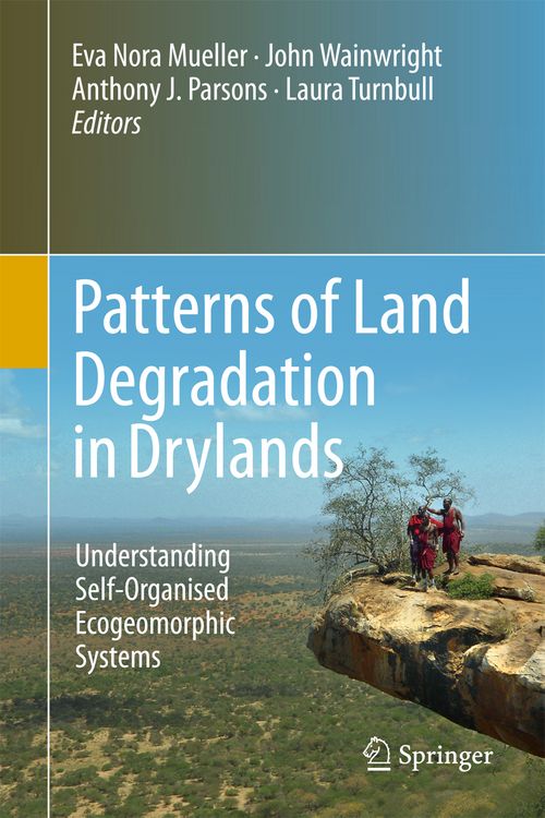 Produktbild: Patterns of Land Degradation in Drylands
