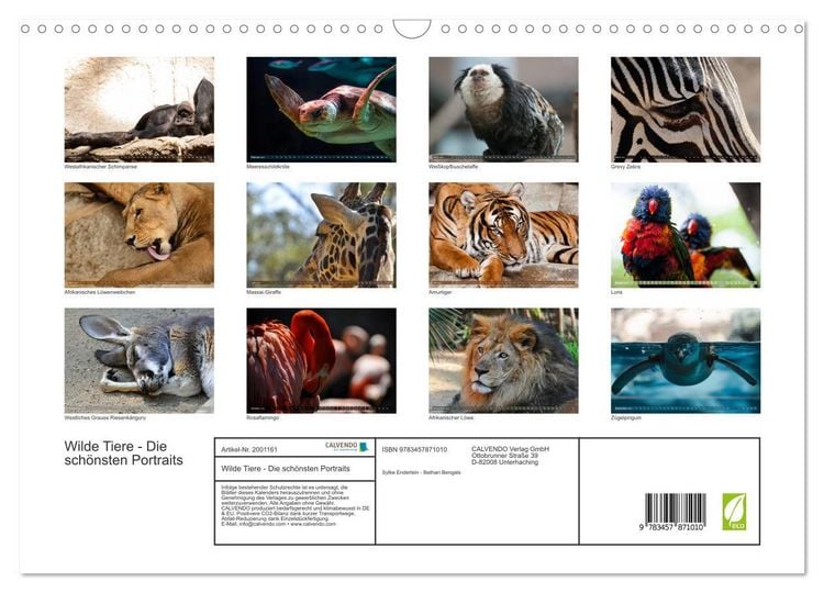 Produktbild: Wilde Tiere - Die sch&ouml;nsten Portraits (Wandkalender 2026 DIN A3 quer), CALVENDO Monatskalender