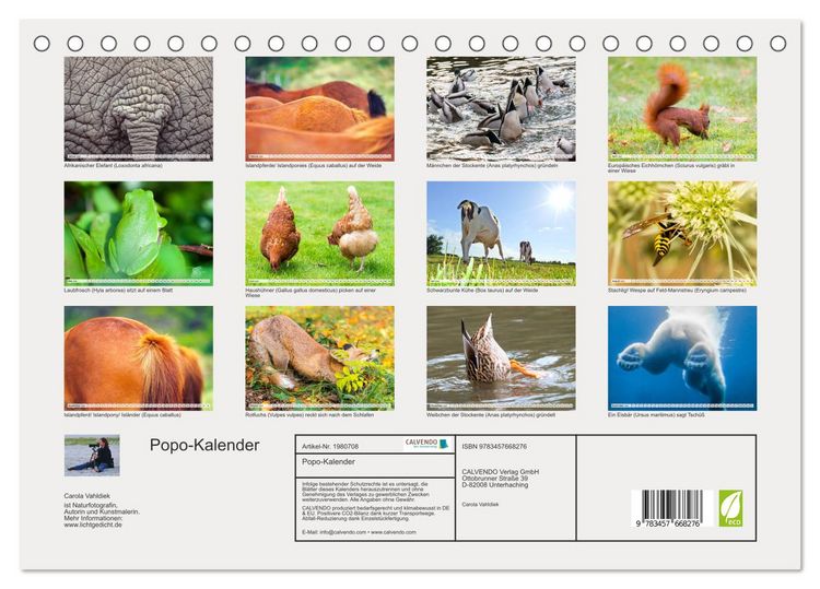 Produktbild: Popo-Kalender (Tischkalender 2026 DIN A5 quer), CALVENDO Monatskalender