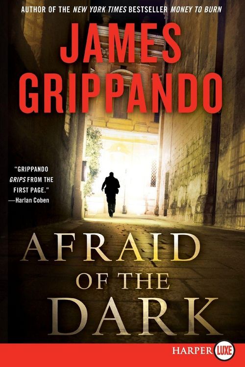 Produktbild: Afraid of the Dark LP