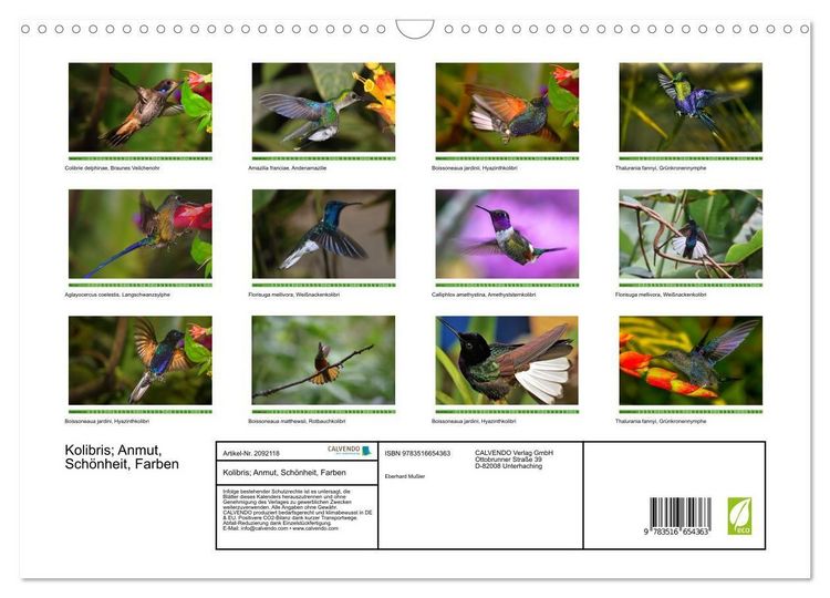Produktbild: Kolibris; Anmut, Sch&ouml;nheit, Farben (Wandkalender 2026 DIN A3 quer), CALVENDO Monatskalender