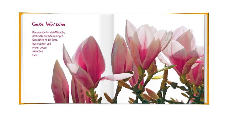 Produktbild: Gute Besserung!