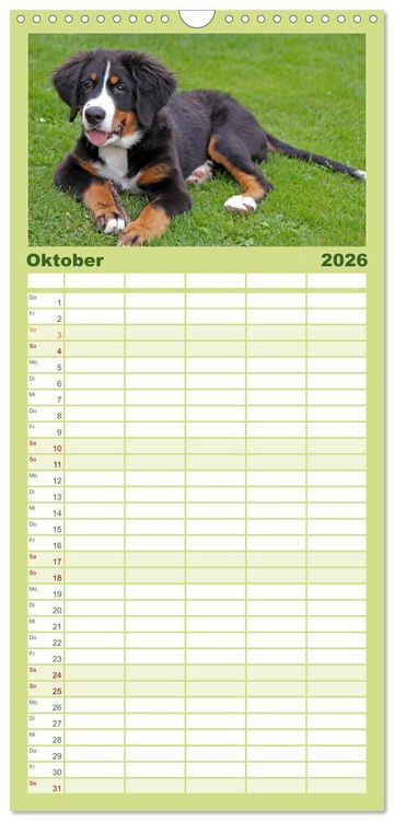 Produktbild: Familienplaner 2026 - Hunde - Beste Freunde der Menschen mit 5 Spalten (Wandkalender, 21 x 45 cm) CALVENDO