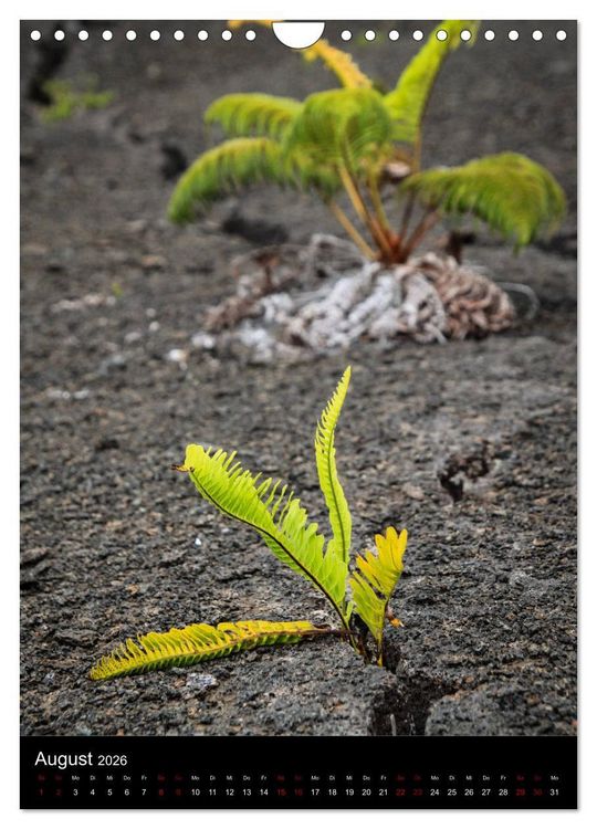 Produktbild: Hawaii - Inseltraum im Pazifik (Wandkalender 2026 DIN A4 hoch), CALVENDO Monatskalender