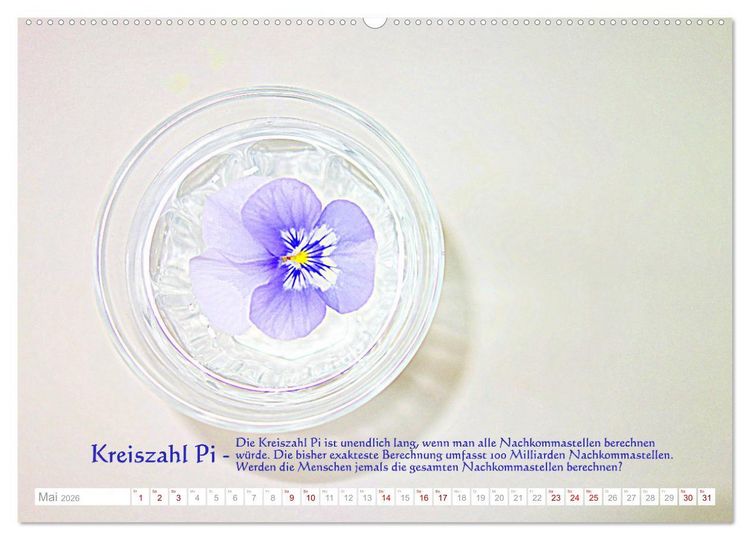 Produktbild: Vermeintliche Gottesbeweise - Nachdenk-Kalender (hochwertiger Premium Wandkalender 2026 DIN A2 quer), Kunstdruck in Hochglanz