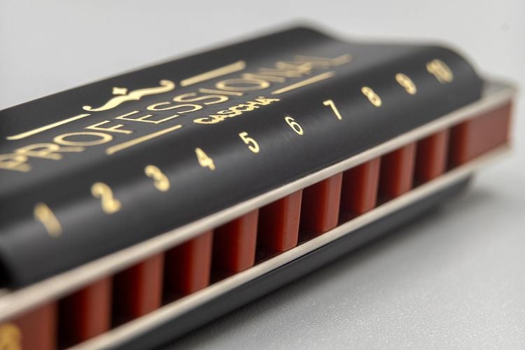 Produktbild: Professional Blues Harmonica in D (incl. case and cleaning cloth)