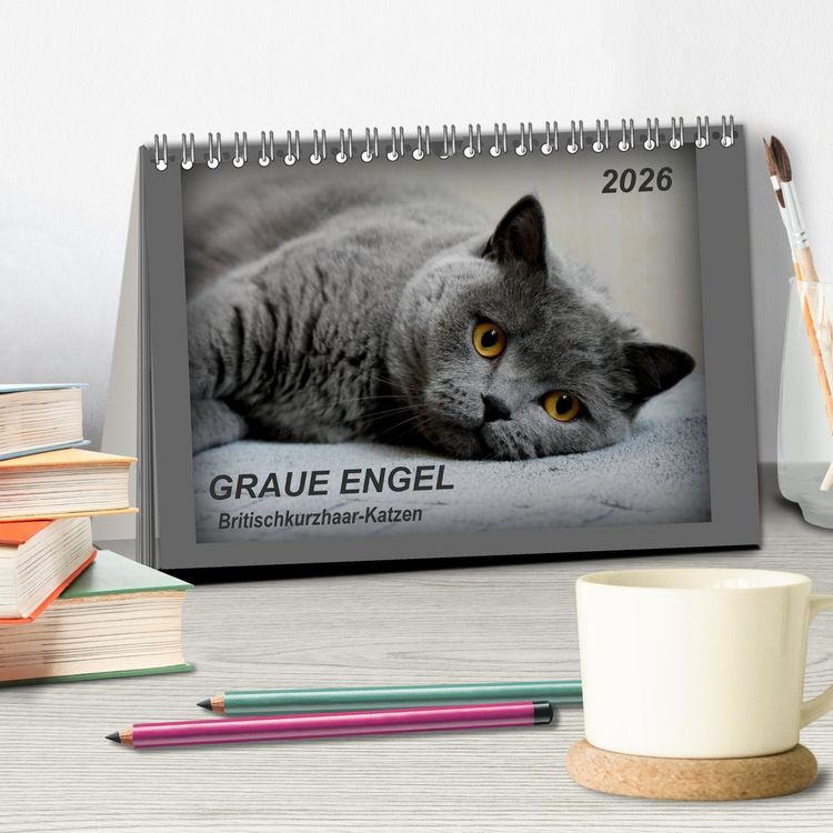 Produktbild: GRAUE ENGEL Britischkurzhaar-Katzen (Tischkalender 2026 DIN A5 quer), CALVENDO Monatskalender
