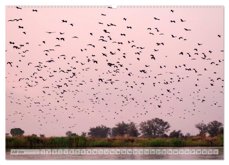 Produktbild: NAMIBIA Christian Heeb (Wandkalender 2026 DIN A2 quer), CALVENDO Monatskalender