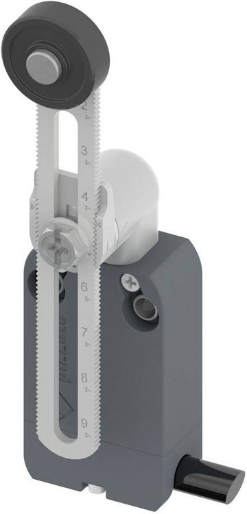 Produktbild: Pizzato Elettrica NF B112KP-DN2 NF B112KP-DN2 Endschalter 250 V/AC 4 A Rollenschwenkhebel tastend IP67 1 St.