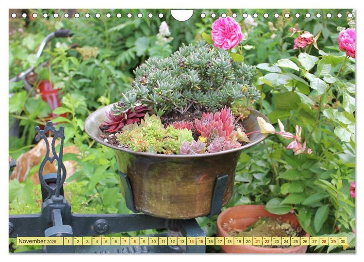 Produktbild: Gartenzauber (Wandkalender 2026 DIN A4 quer), CALVENDO Monatskalender