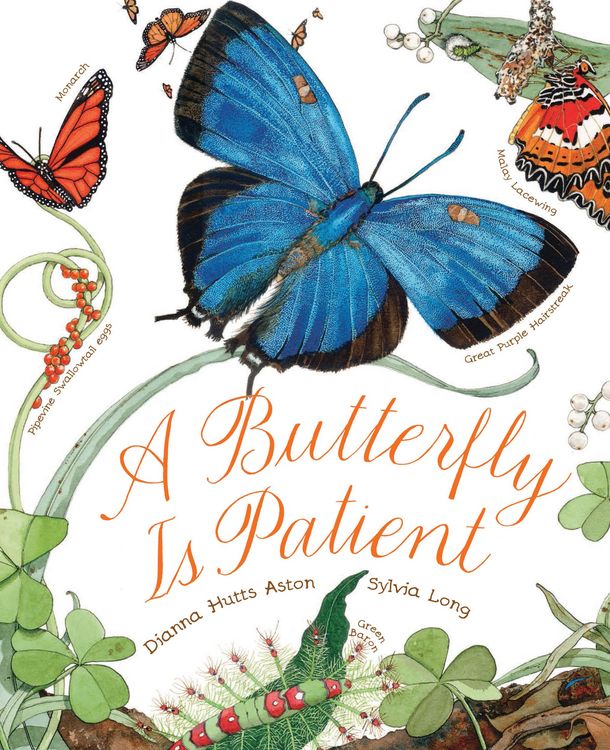 Produktbild: A Butterfly Is Patient