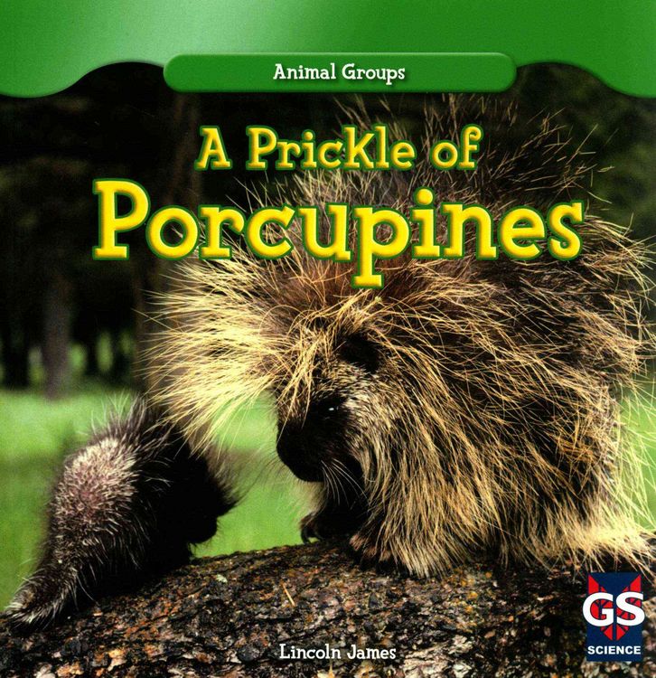 Produktbild: Prickle Of Porcupines