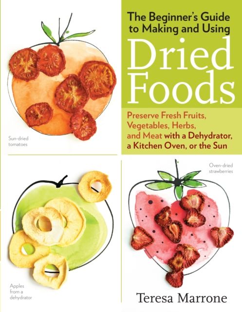 Produktbild: Beginners Gt Making & Using Dr