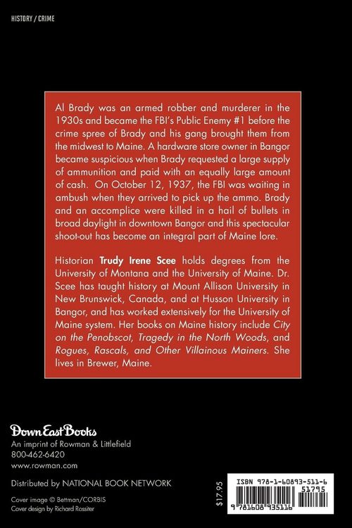 Produktbild: Public Enemy Number One